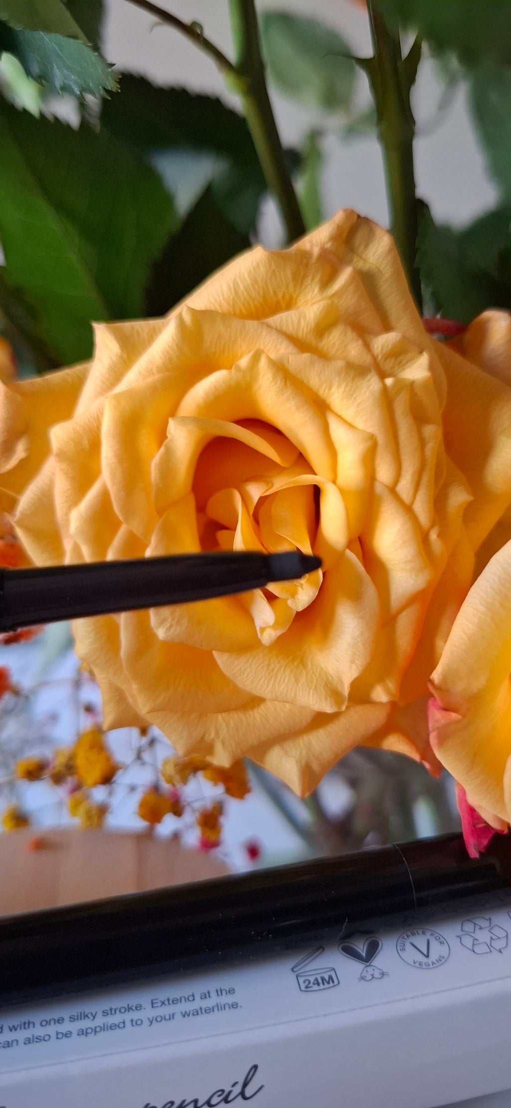 Mii Skyliner Pencil - Midnight 01
Midnight 01