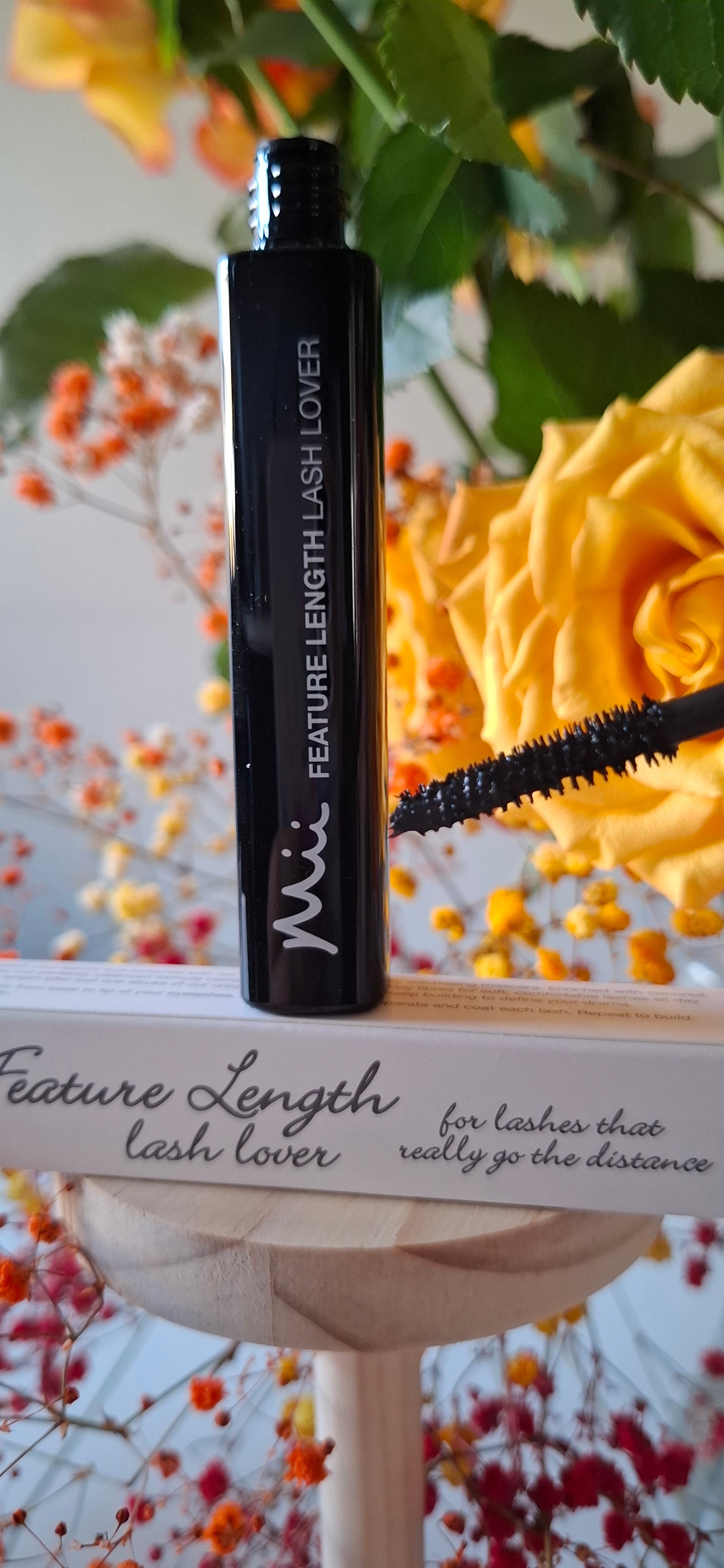 Mii Feature Length Mascara
Ambition 01